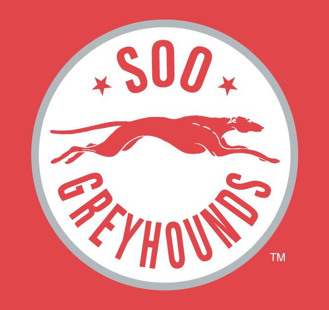 Sault Ste. Marie Greyhounds 2009 10-2012 13 Alternate Logo vinyl decal